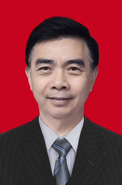 1丁茂战-智库专家二寸证件照-中国特色社会主义发展研究院2025.4.17.jpg