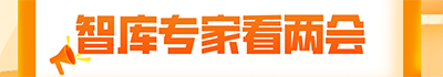 2023年全国两会|智库专家看两会