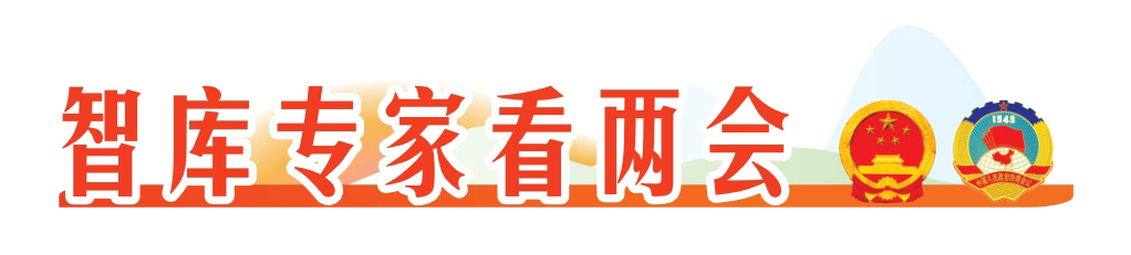 2025智库专家看两会