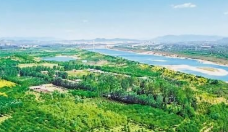 微信截图_20200708163157.png